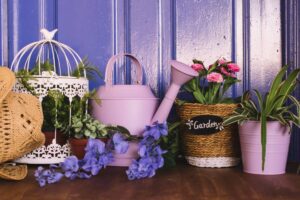 Gardening tools, plants, and decorative items in front of a distressed blue wooden door.
