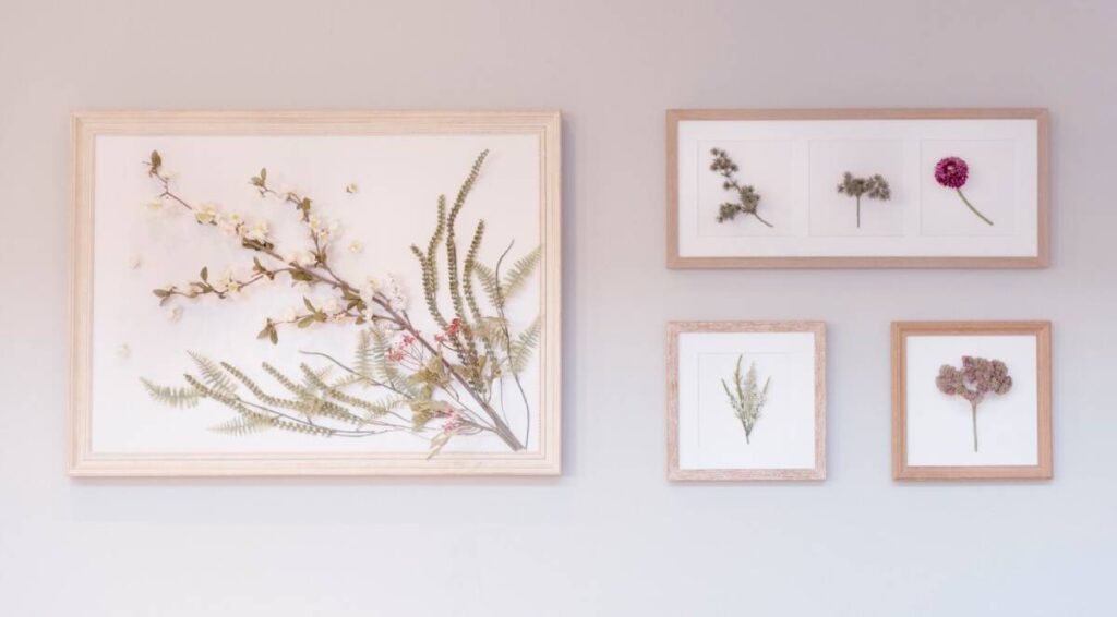 Five framed botanical arrangements on a pale wall, each showcasing different dried plants.