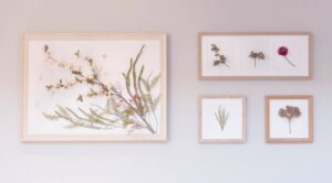 Five framed botanical arrangements on a pale wall, each showcasing different dried plants.