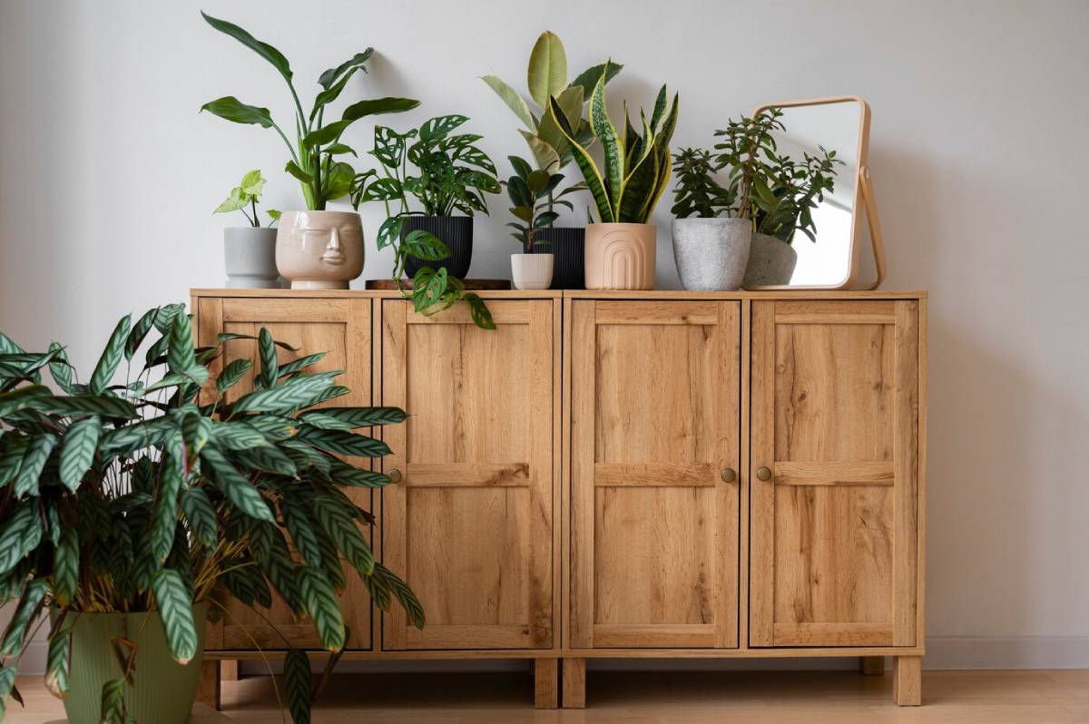 A wooden cabinet decorated with a variety of indoor plants in different stylish pots. 